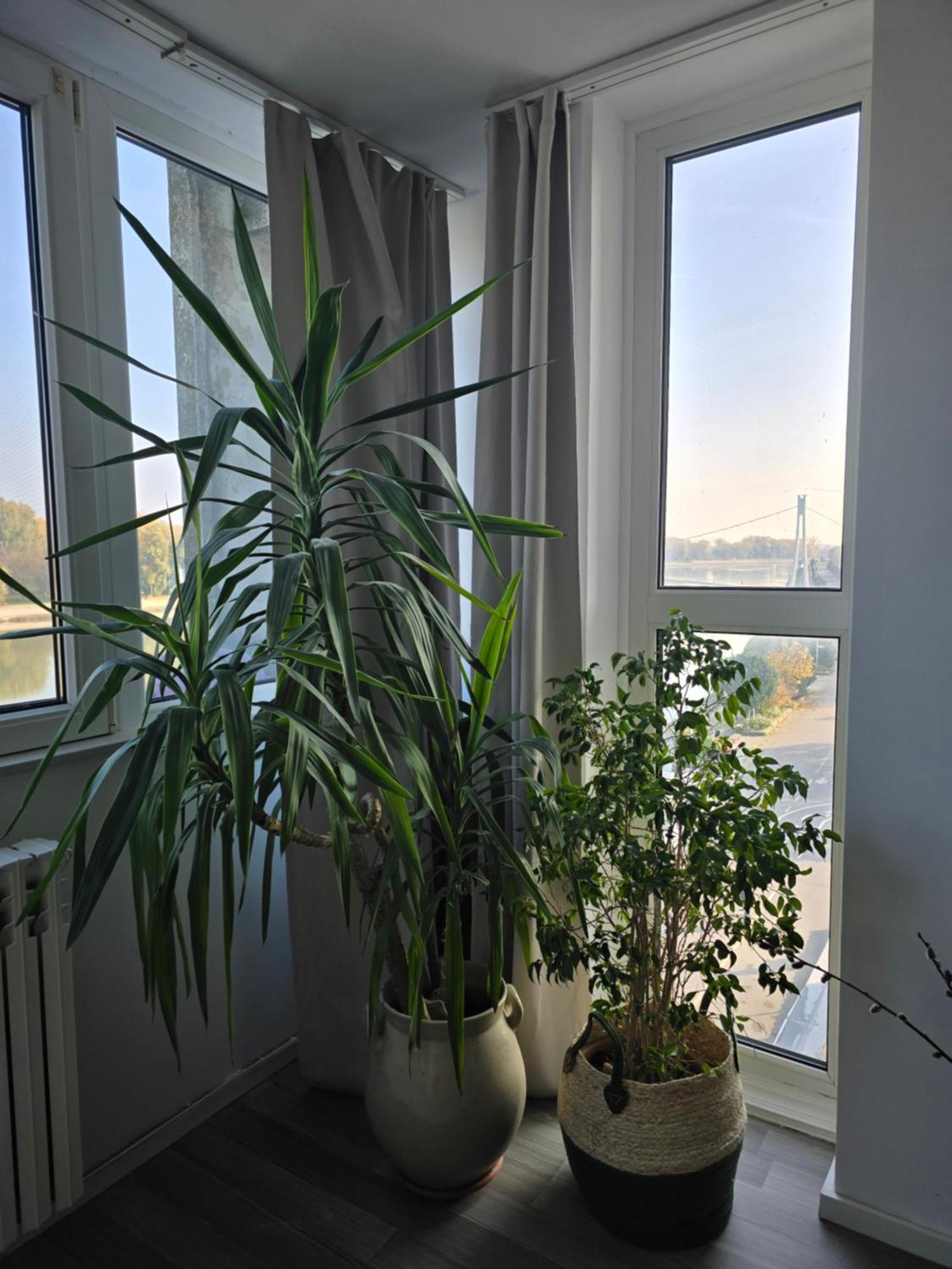 Riverview Apartment Osijek Exterior foto